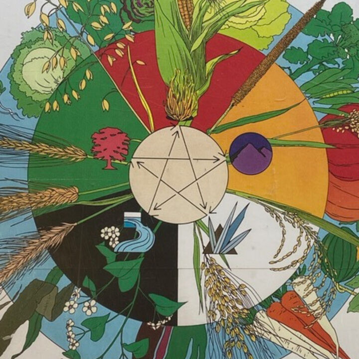 5 Transformations Food Square.png