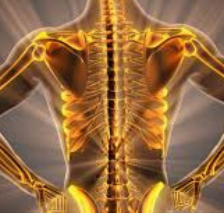 Build your bones.png