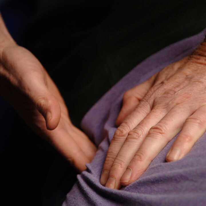 Advanced Shiatsu Day