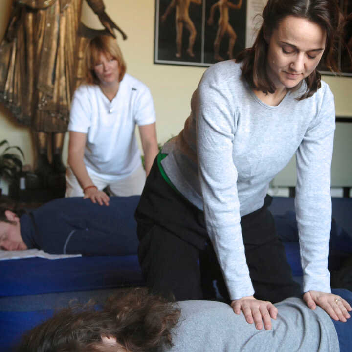 Advanced Shiatsu Day