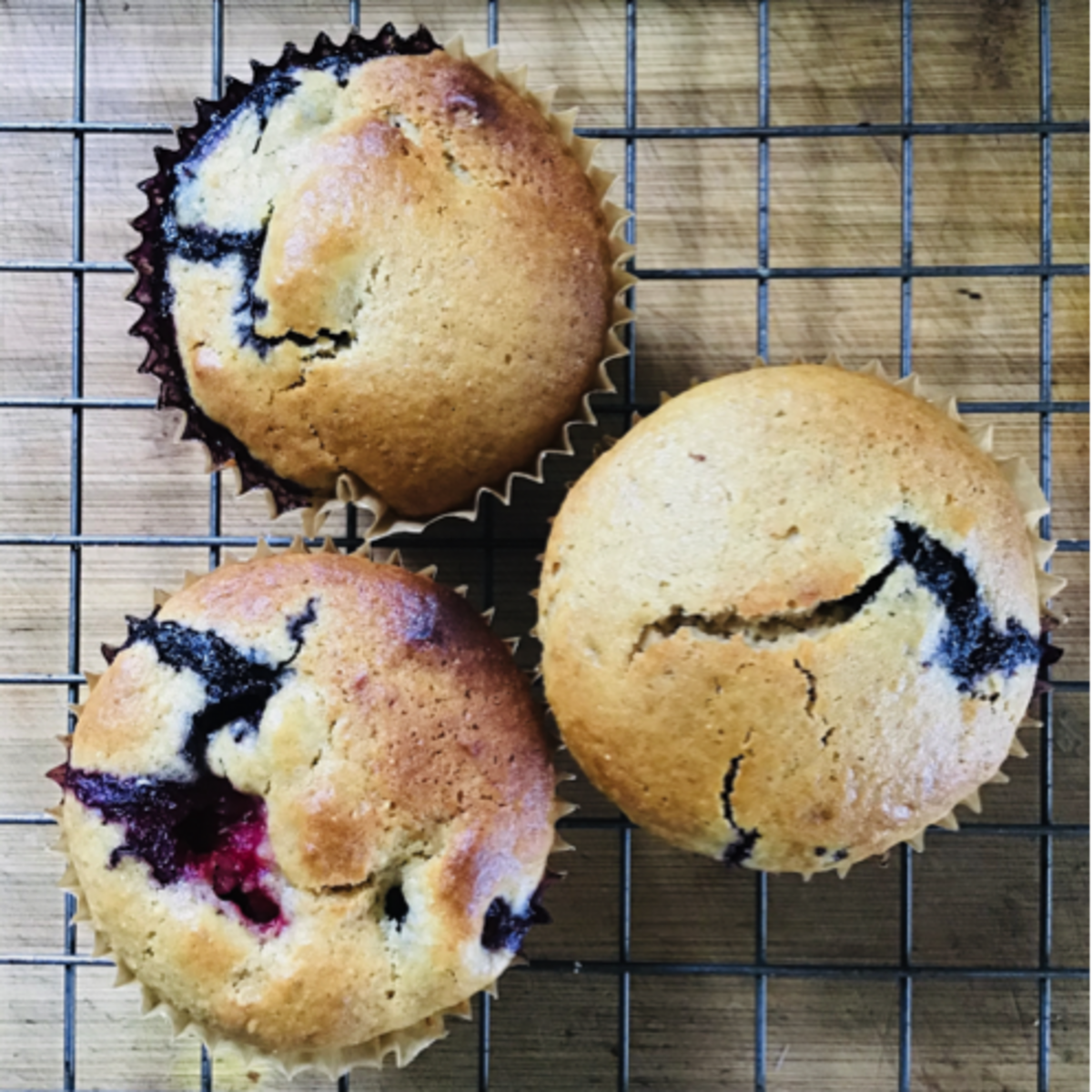 4.11 Blueberry Muffins.png 4.11 Blueberry Muffins.png