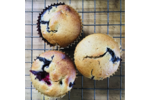 4.11 Blueberry Muffins.png